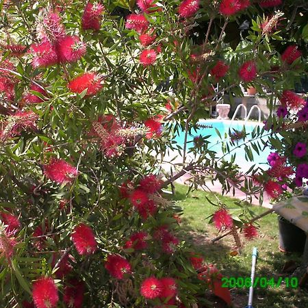 B&B Desenzano Desenzano del Garda Kültér fotó