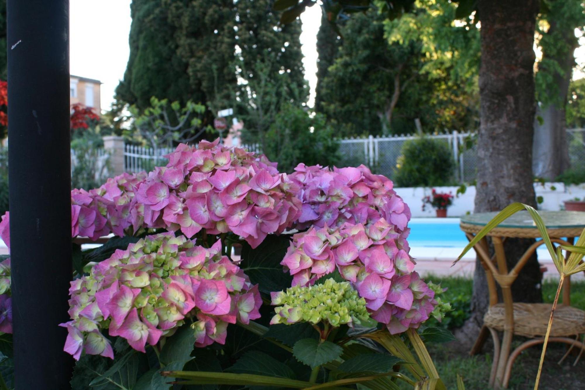 B&B Desenzano Desenzano del Garda Kültér fotó