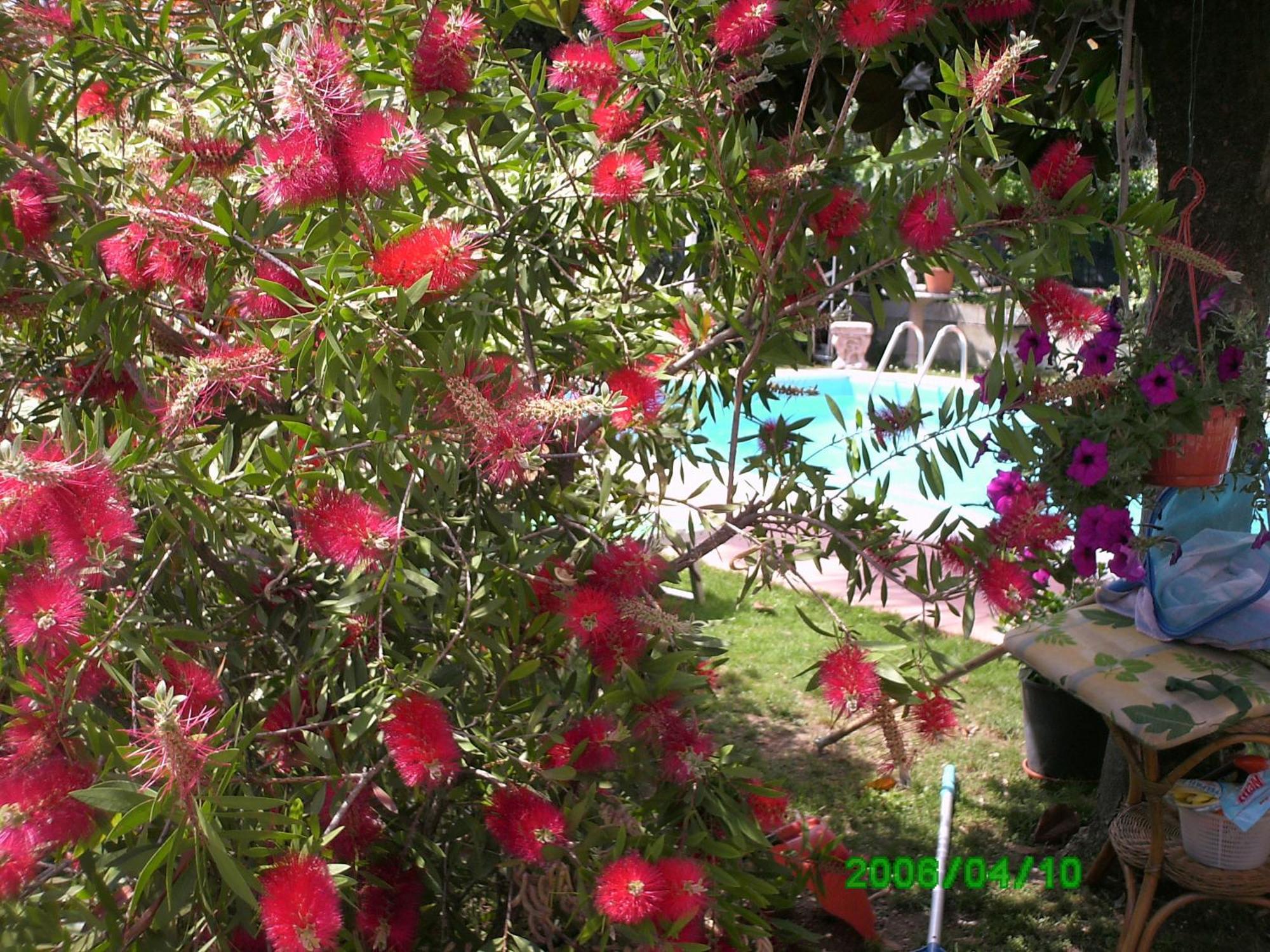 B&B Desenzano Desenzano del Garda Kültér fotó