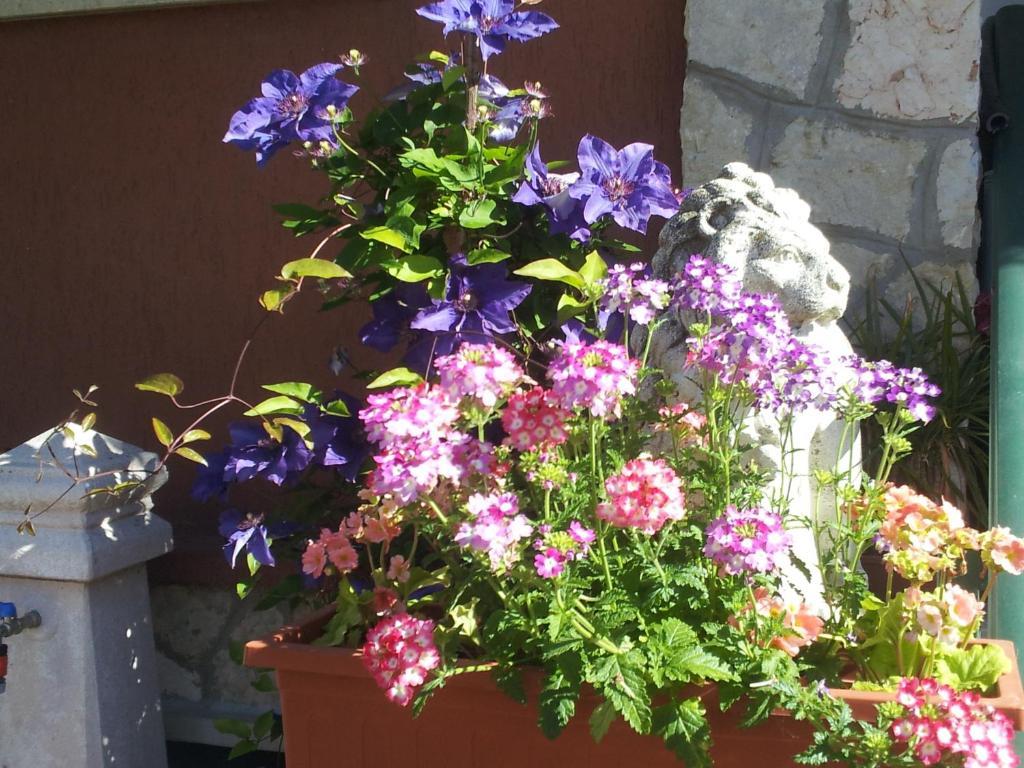 B&B Desenzano Desenzano del Garda Kültér fotó